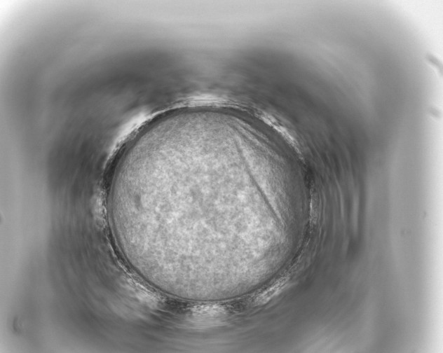 X0000093771454200710301155