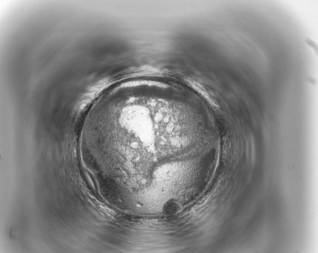 X0000093771455200710301155