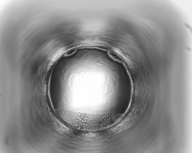 X0000093771459200710301155