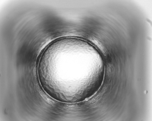 X0000093771460200710301155