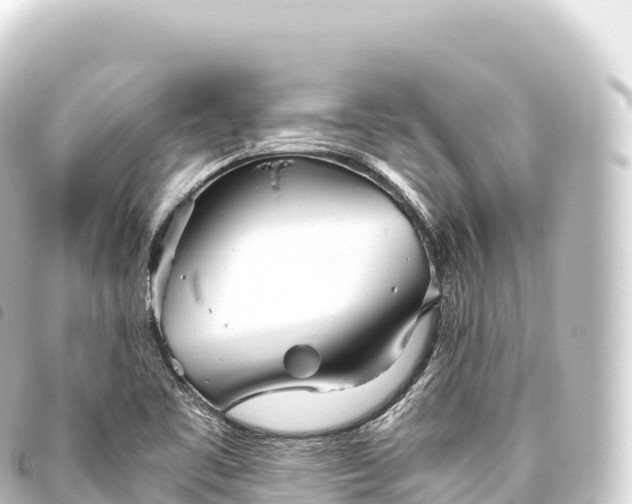 X0000093771461200710301155