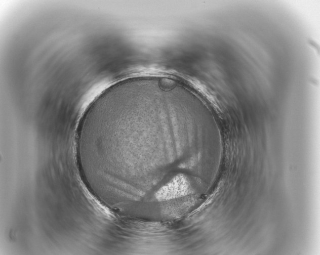 X0000093771463200710301155