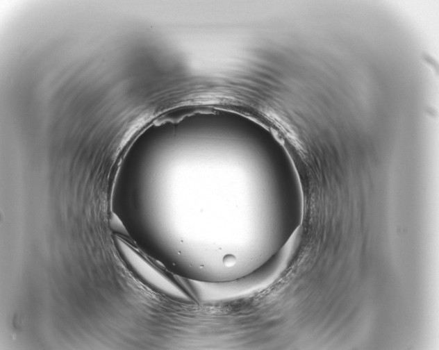 X0000093771465200710301155