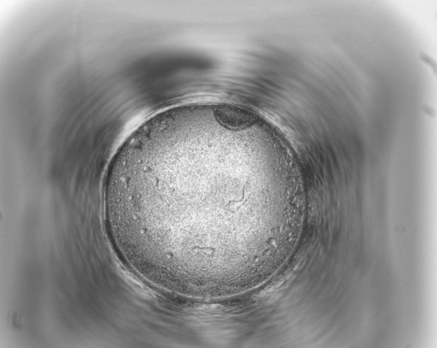 X0000093771467200710301155