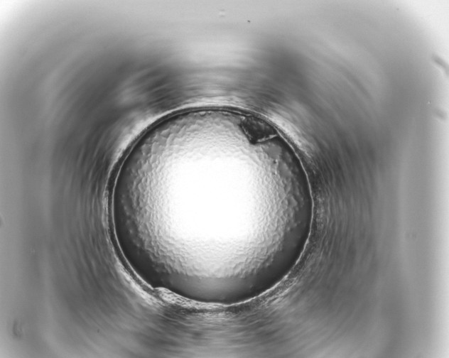 X0000093771468200710301155