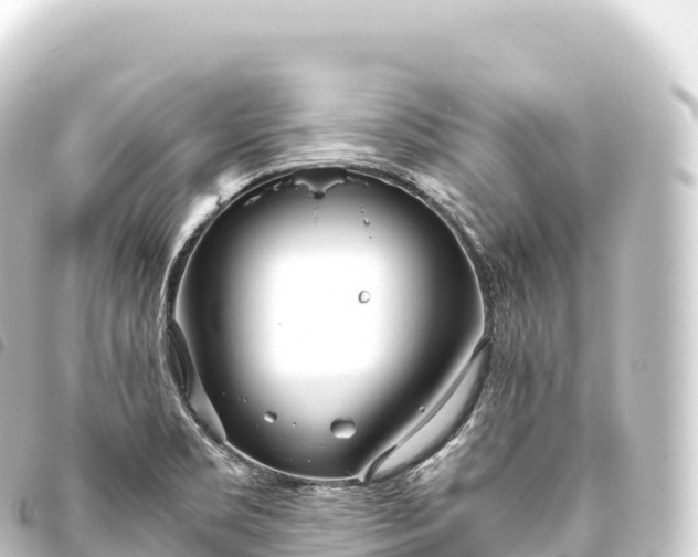 X0000093771469200710301155