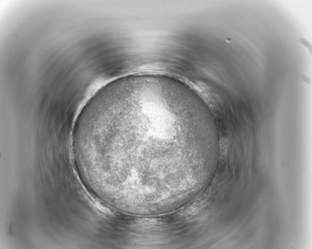 X0000093771470200710301155