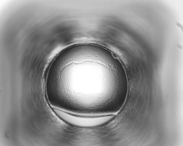 X0000093771472200710301155