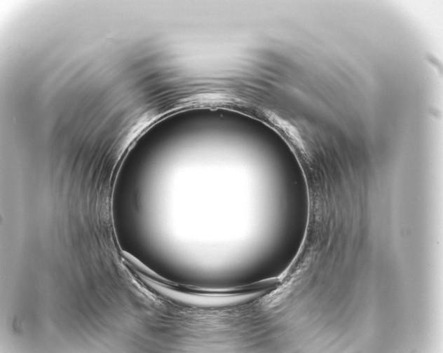 X0000093771473200710301155