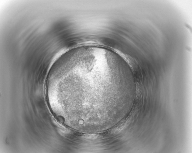 X0000093771474200710301155