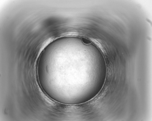 X0000093771475200710301155