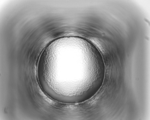 X0000093771476200710301155