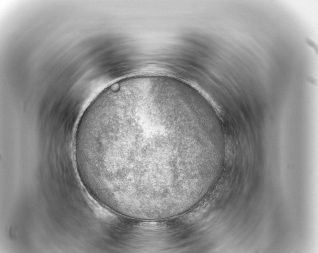 X0000093771478200710301155