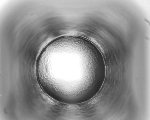 X0000093771480200710301155