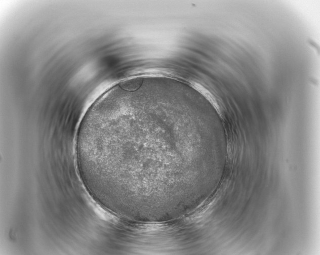 X0000093771482200710301155