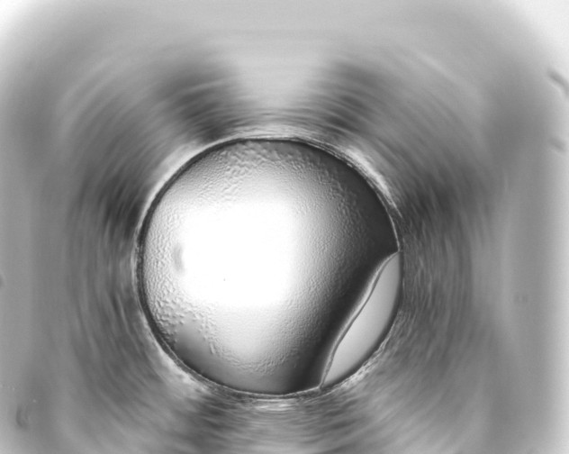 X0000093771484200710301155