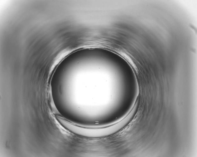 X0000093771485200710301155