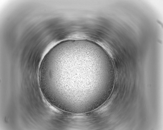 X0000093771486200710301155