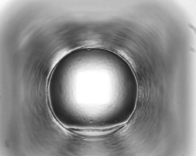 X0000093771487200710301155