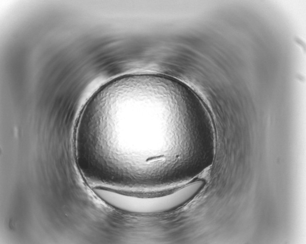 X0000093771488200710301155