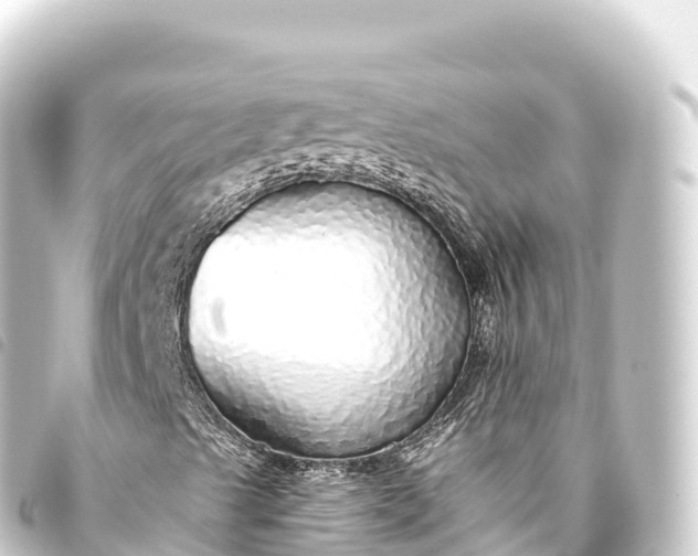 X0000093771489200710301154