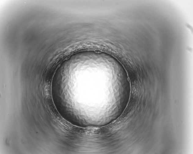 X0000093771490200710301154