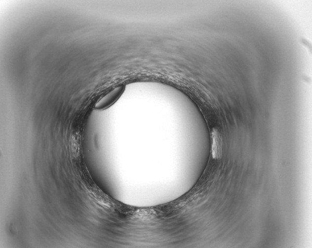 X0000093771491200710301154