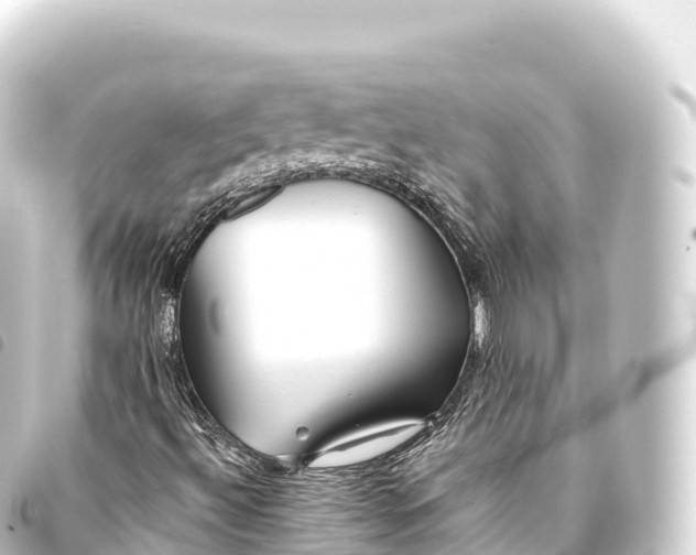 X0000093771492200710301154