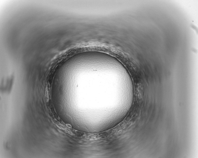 X0000093771493200710301154