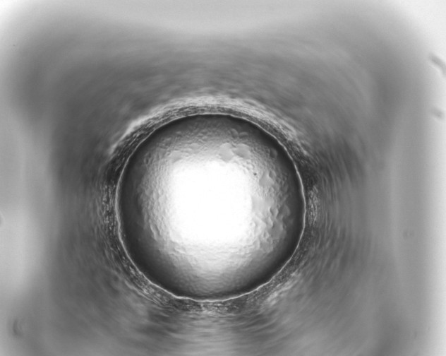 X0000093771494200710301154