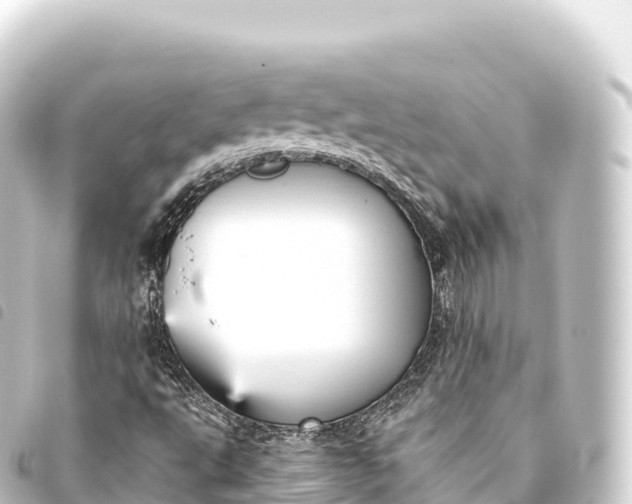 X0000093771495200710301154