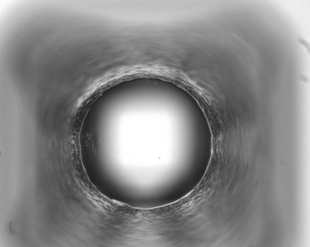 X0000093771496200710301154