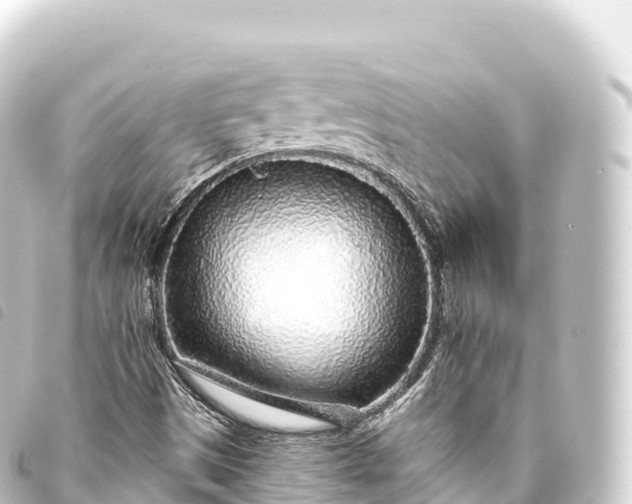 X0000093771497200710301154