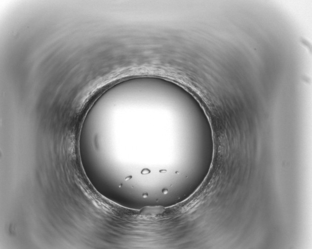 X0000093771499200710301154