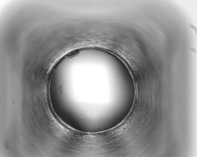 X0000093771500200710301154