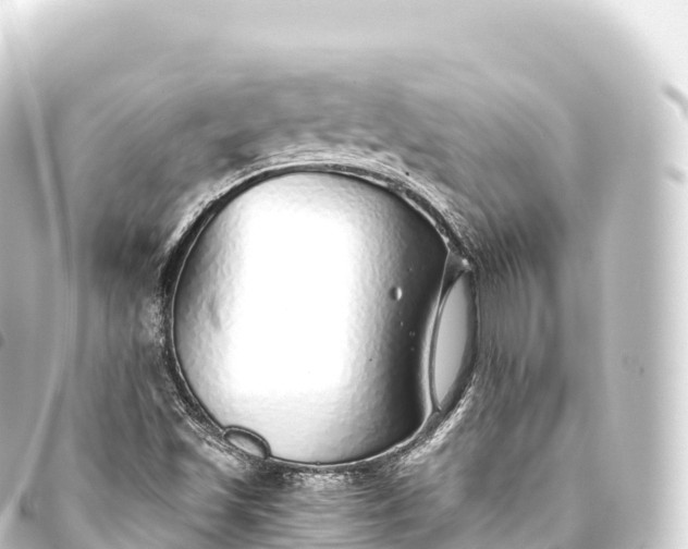 X0000093771501200710301154