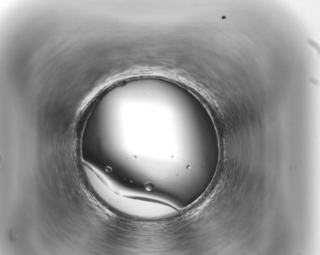 X0000093771502200710301154