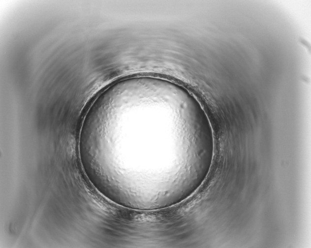 X0000093771505200710301154