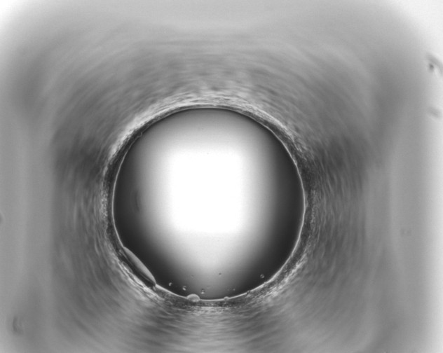 X0000093771506200710301154