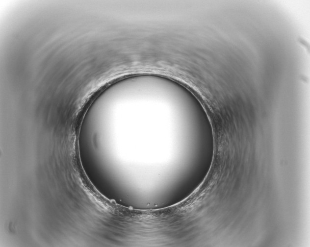 X0000093771507200710301154