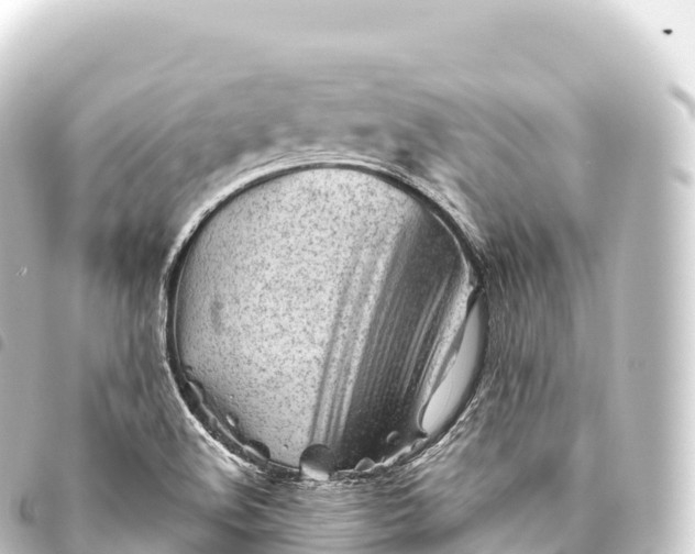 X0000093771508200710301154