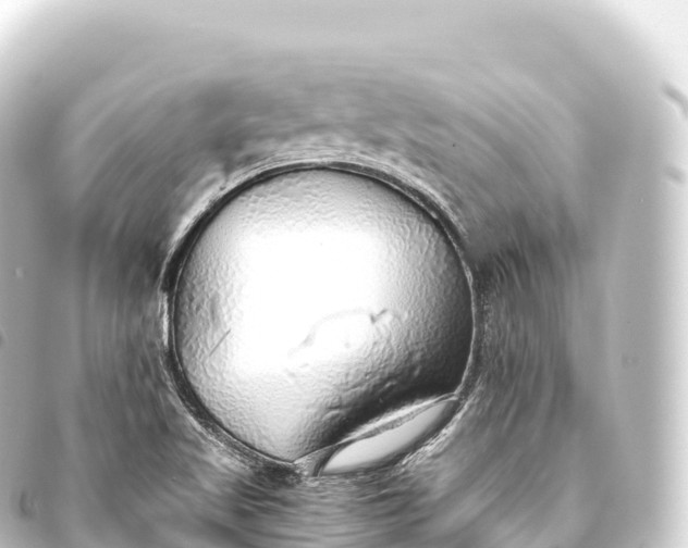 X0000093771509200710301154