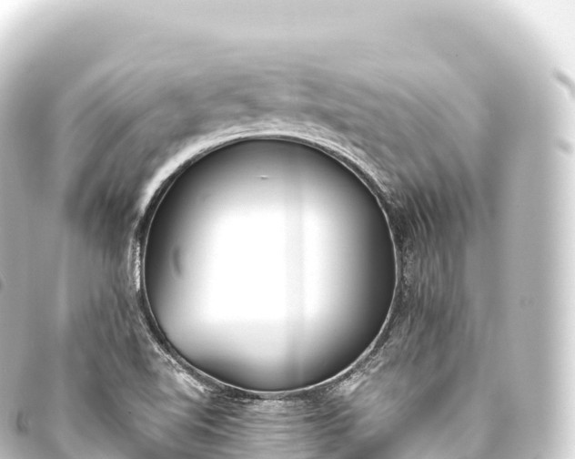 X0000093771510200710301154