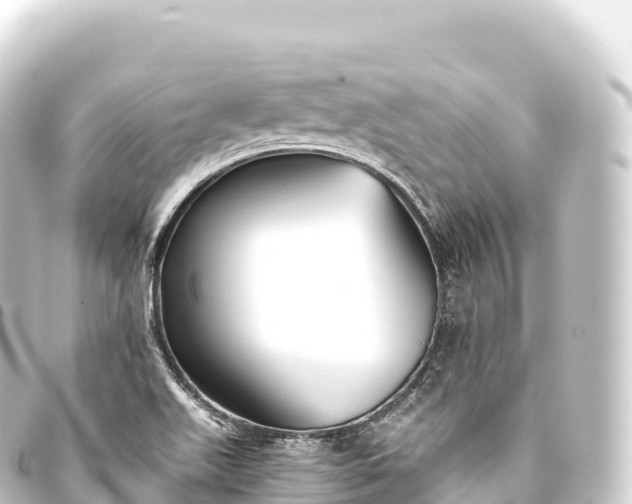 X0000093771511200710301154