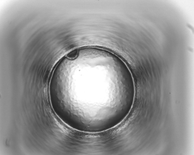 X0000093771513200710301154