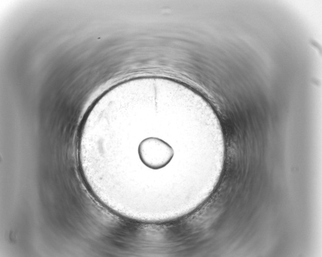 X0000093771514200710301154