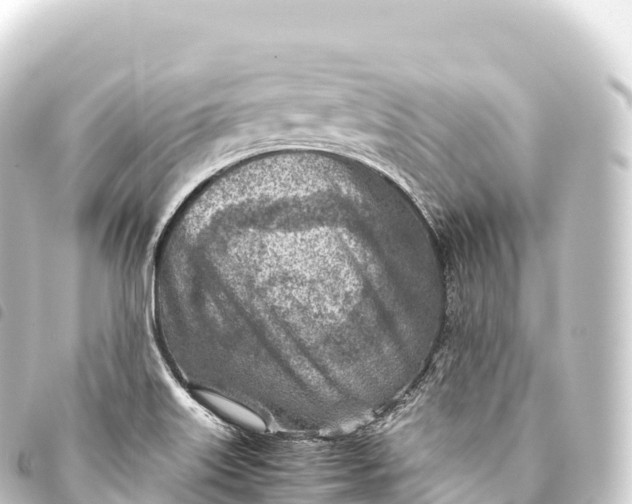 X0000093771515200710301154