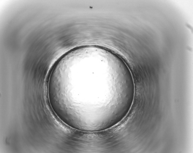 X0000093771517200710301154