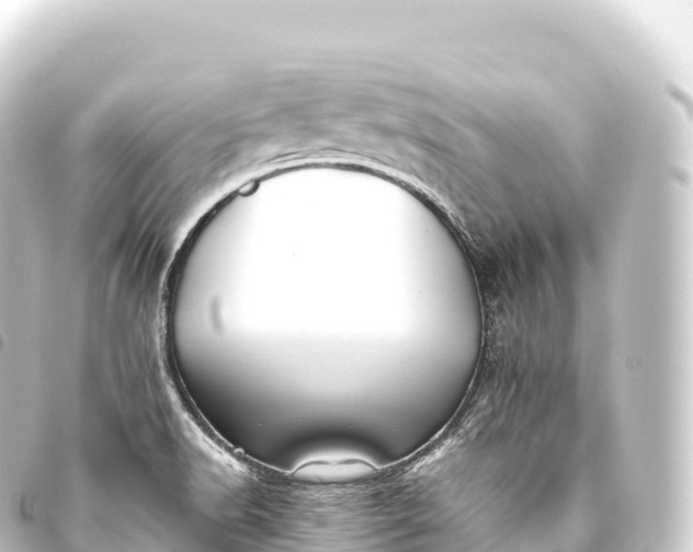 X0000093771518200710301154