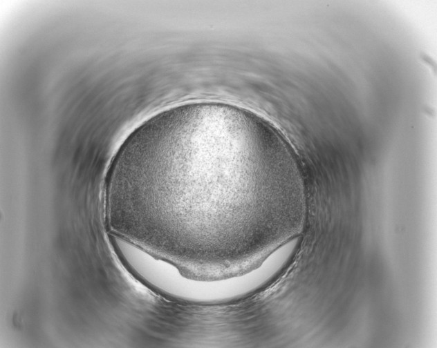 X0000093771519200710301154